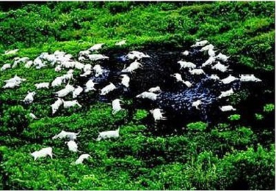 Danau Paling Berbahaya di Dunia, Bisa Meledak dan Membunuh Ribuan Nyawa