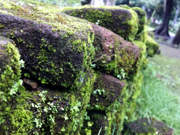 aquascape-for-everyone-learning-and-sharing---part-1