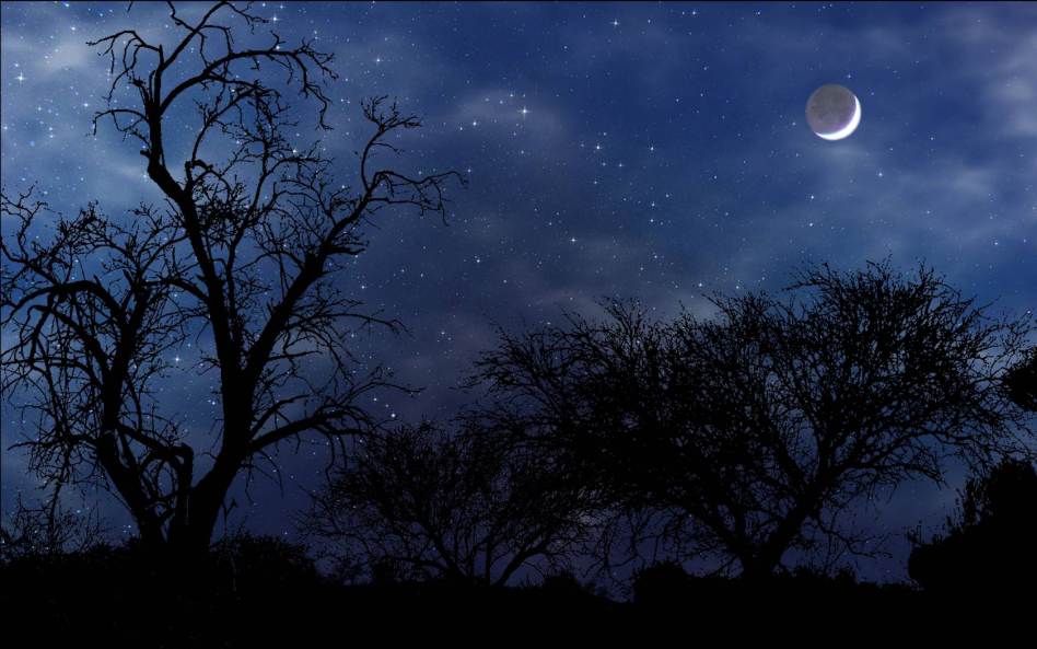 RAHASIA PERUMAHAN ! (Creepy Story)