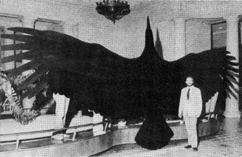 Argentavis : Burung Prasejarah Terbesar Didunia