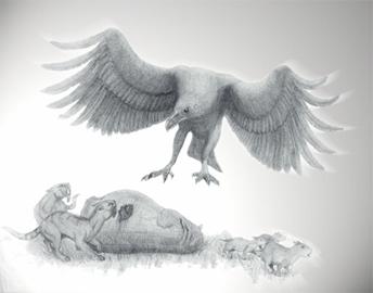 Argentavis : Burung Prasejarah Terbesar Didunia