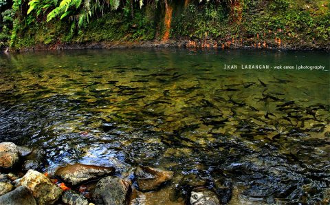 Panorama Alam Sumatera Barat &#91;Full Pict&#93;