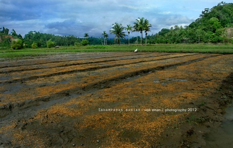 Panorama Alam Sumatera Barat &#91;Full Pict&#93;