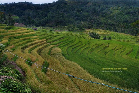 Panorama Alam Sumatera Barat &#91;Full Pict&#93;