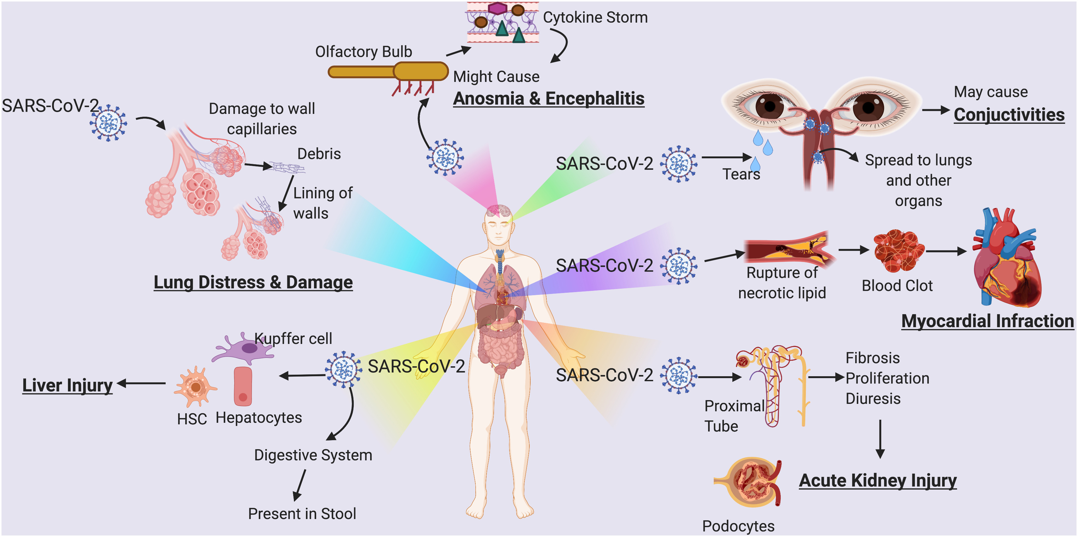 baca-info-seputar-virus-corona-di-indonesia