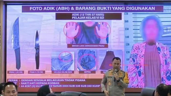 Pengakuan Bocah SD Bunuh Ibu di Medan, Terinspirasi dari Game Online dan Anime