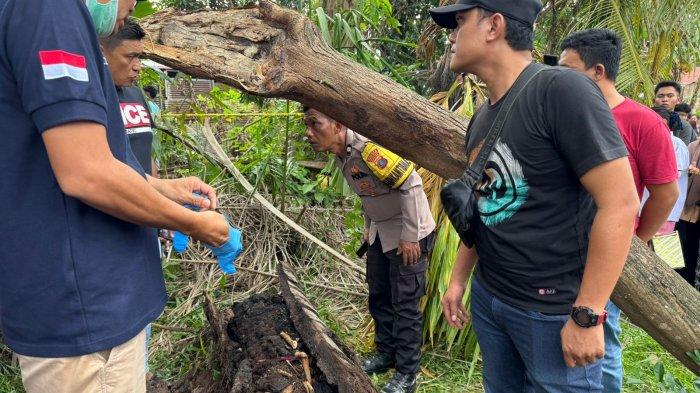 Tengkorak dalam Pohon Aren di Sergai Diduga Pemuda yang Hilang 2 Tahun Silam