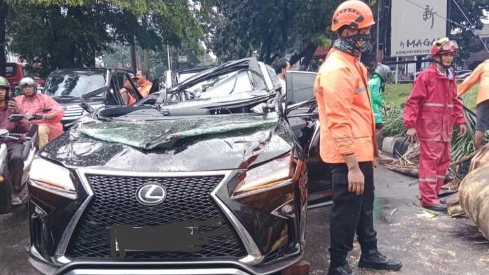 Tak Sempat Menghindar, Pengemudi Tewas Tertimpa Pohon di Pondok Indah