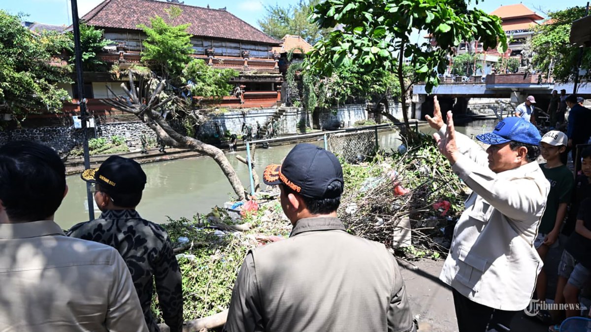 Prabowo Puji Aksi Heroik Anjing Selamatkan Tuannya saat Banjir Bali: Kamu Pahlawan