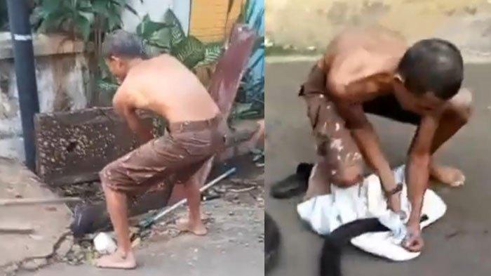 Niat Evakuasi Ular Piton, Warga Tuban Jadi Korban Gigitan hingga Urat Nadi Putus