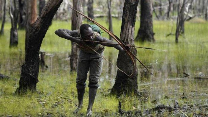 Negara Tolak Gugatan Suku Menentang Perkebunan, 39.000 Hektare Hutan Papua 'Dirampas'