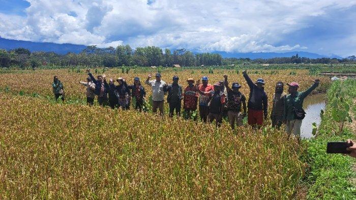 Jalan Tak Ada, Sekolah Minim, Pegunungan Bintang Papua Minta Dikecualikan Efisiensi