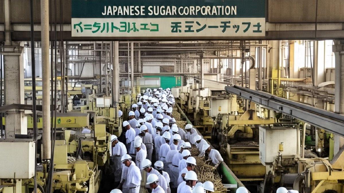 Pekerja Indonesia Jadi Penyelamat Pabrik di Pulau Terpencil Jepang Ketangguhan Diakui