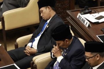 Pantas Menang Lelang Gorden Rp 43,5 Miliar, PT BMS Biasa Dapat Proyek Pemerintah