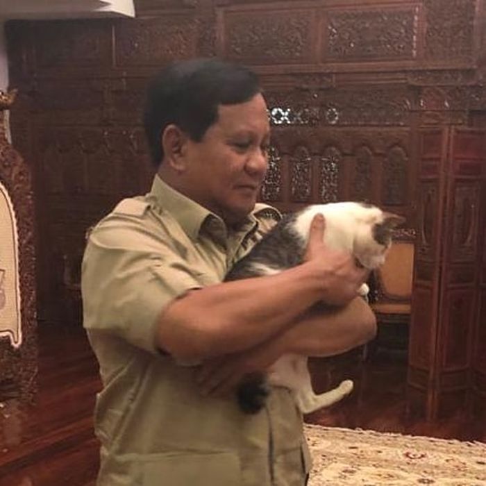 Bobby, Kucing Ningrat Milik Prabowo yang Setia Temanin Tuannya Sebelum Debat Capres