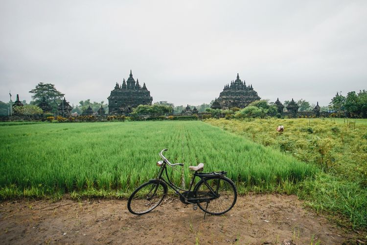 Kunci Hidup Panjang Umur: Tinggal di Desa
