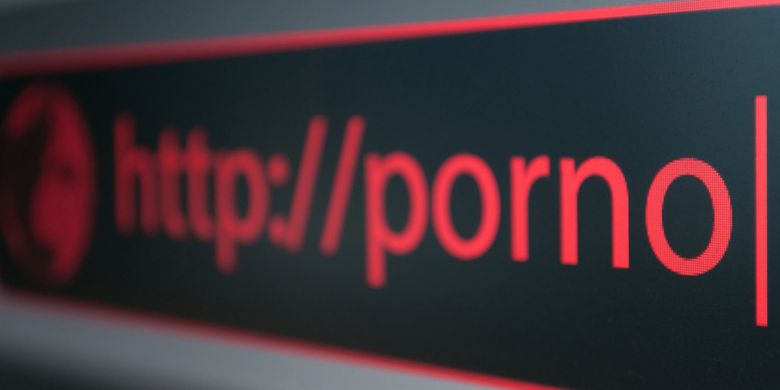 Ingin Gaet Banyak Pemilih, Politisi Ini Pasang Iklan di Situs Porno