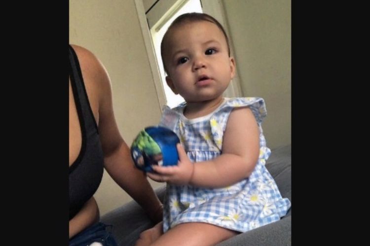 diserang-anjing-pitbull-peliharaan-keluarga-bayi-usia-9-bulan-tewas