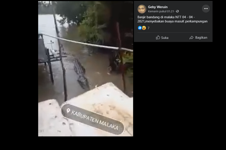 Hoax Buaya Masuk Ke Perkampungan Saat Banjir di NTT