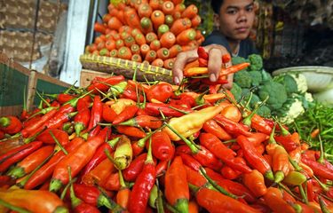  Harga Cabai Rawit Merah di Pasar Tomang Tembus Rp 100.000 Per Kg, Pedagang Mengeluh 