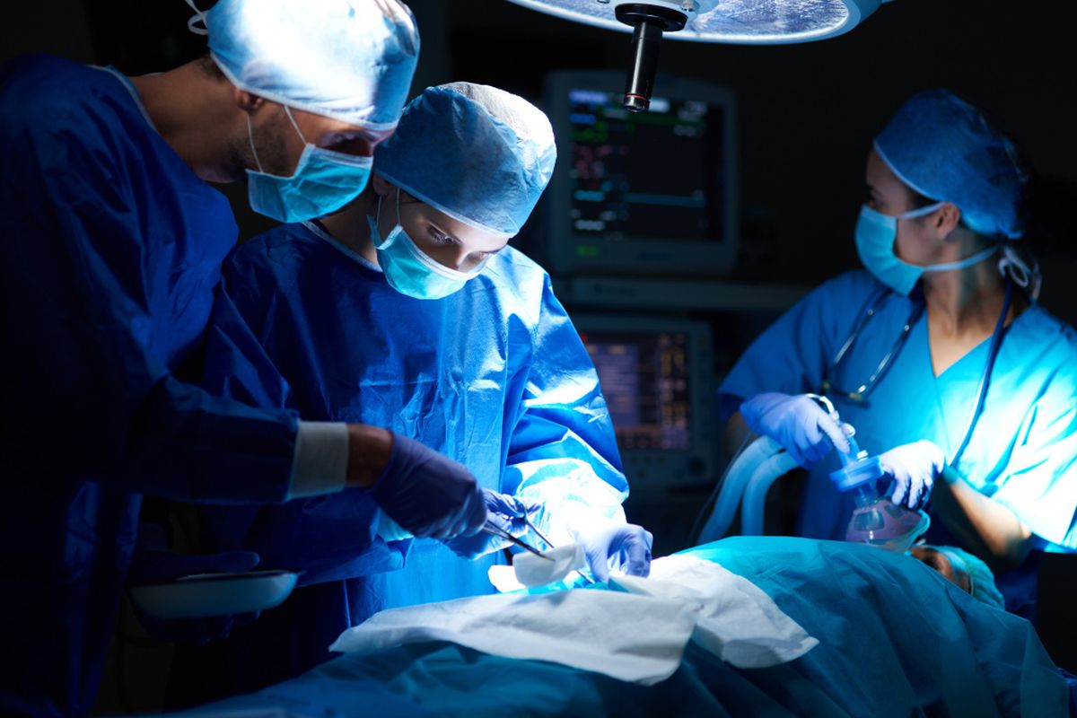 AS Berhasil Transplantasi Ginjal Babi ke Manusia, Pasien Berhasil Bebas dari Dialisis