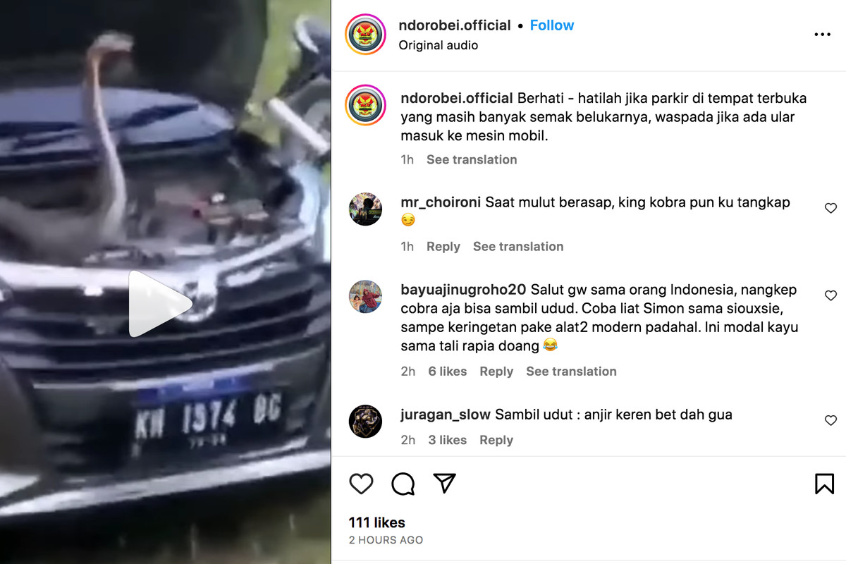 video-ular-kobra-bersarang-di-ruang-mesin-mobil