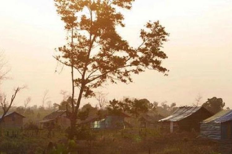 mengenal-kepemilikan-tanah-hgu-dan-aturan-hukumnya