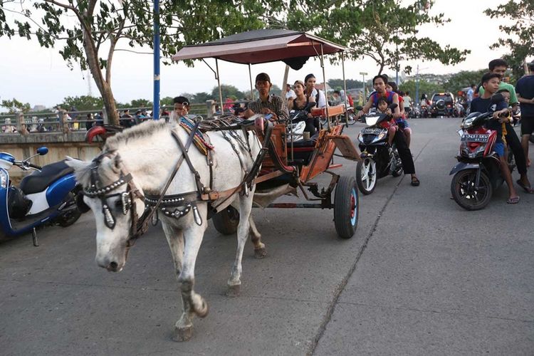 Ngeri, Ternyata Begini Jadinya Kalau Kuku Kaki Kuda Peliharaan Tidak Dirawat