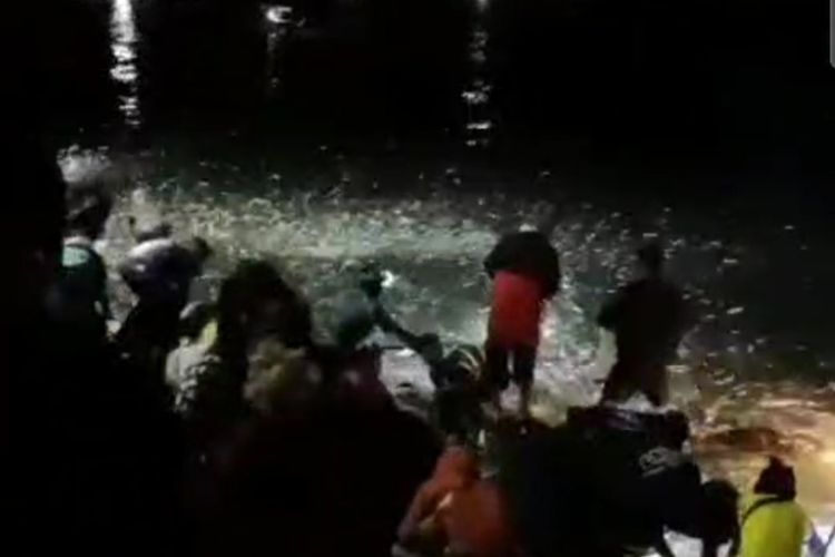 Fenomena Aneh di Pantai Selatan Jabar, Jutaan Ikan Terbang ke Darat