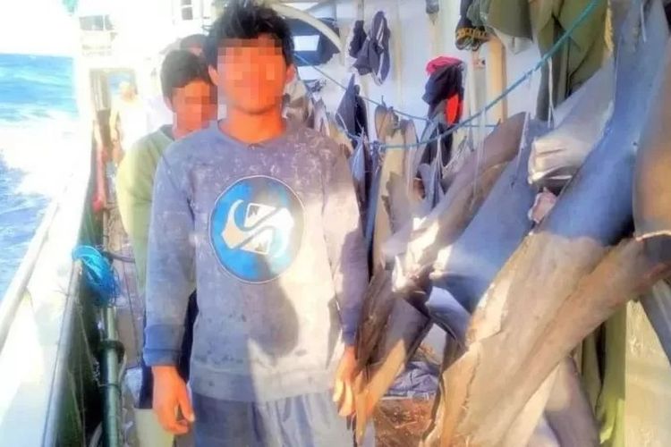 Cerita ABK WNI di Kapal China, Konsumsi Makanan Busuk, Dipukul, Disiksa dan Dilarung