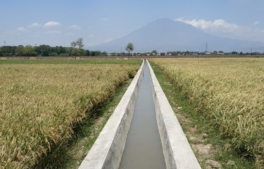 Target Kerja Sama DKI dan Gapoktan Cilacap Capai 1.000 Hektar Sawah pada 2021