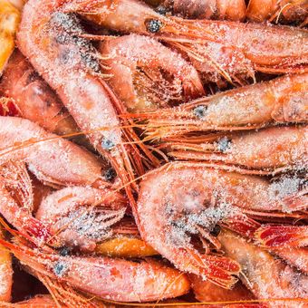 FDA Tarik Produk Udang Beku Diduga Asal Indonesia gara-gara Terkontaminasi Radioaktif