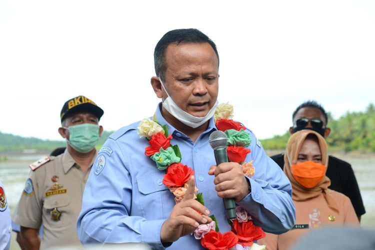 kader-gerindra-jadi-eksportir-lobster-edhy-keputusan-bukan-saya-tapi-tim