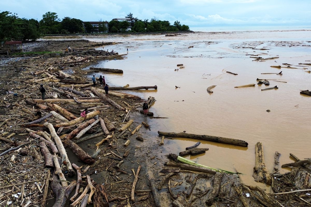 Kemenhut: Gelondongan Terbawa Banjir Berasal dri Pohon Lapuk &amp; kemungkinan..