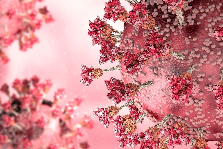 orang-yang-terinfeksi-omicron-bisa-menyebarkan-virus-hingga-10-hari