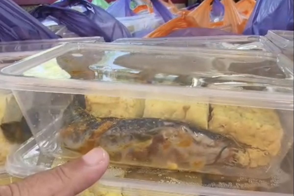 SPPG di Jatim yang Berikan Menu MBG Lele Mentah Dihentikan Sementara
