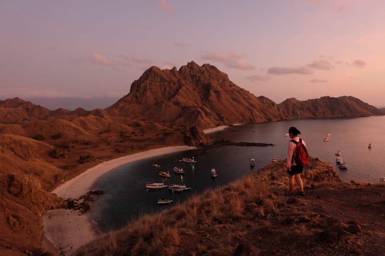 Wisata Super Premium Pulau Komodo untuk Pariwisata Berkelanjutan?