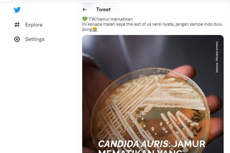 Mengenal Jamur Candida Auris, Jamur Mematikan yang Mewabah di Amerika Serikat