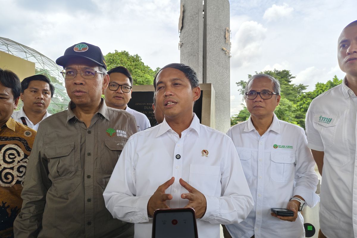 Temuan Ladang Ganja di Bromo, Menhut: Staf Kami Paling Tanam Singkong
