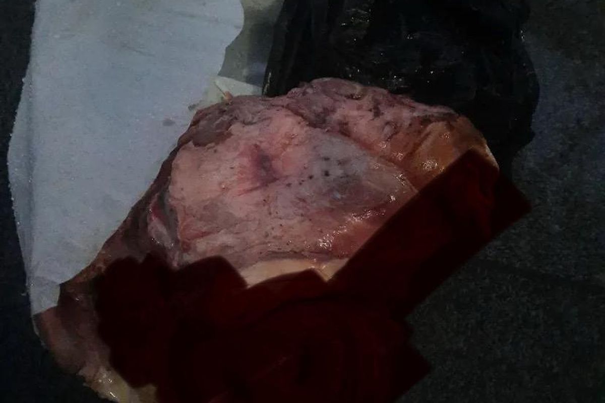 Kreator Konten di Bogor Mendapat Kiriman Paket Kepala Babi