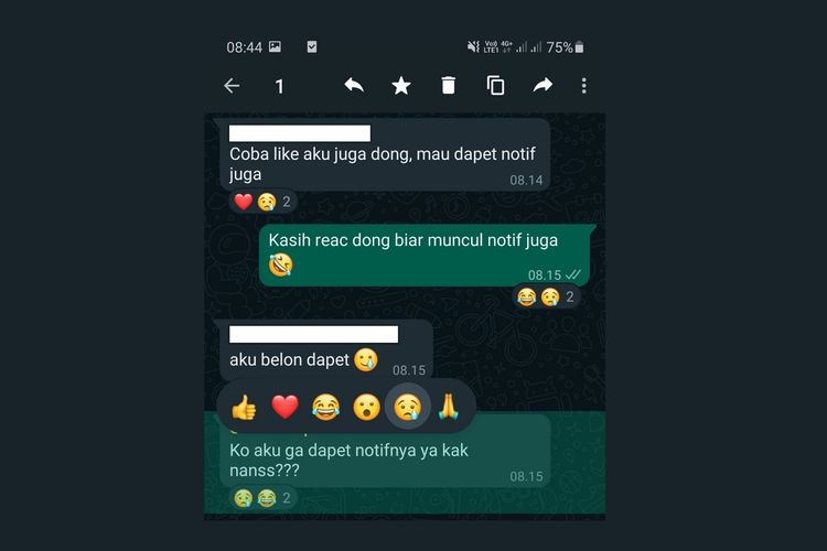 Cara Pakai Fitur WhatsApp Reactions, Beri Reaksi Emoji di Chat Pribadi atau Grup