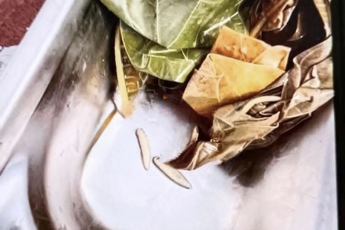 menu-mbg-di-bangkalan-ada-ulat-sppg-itu-jenis-ulat-yang-bisa-dikonsumsi