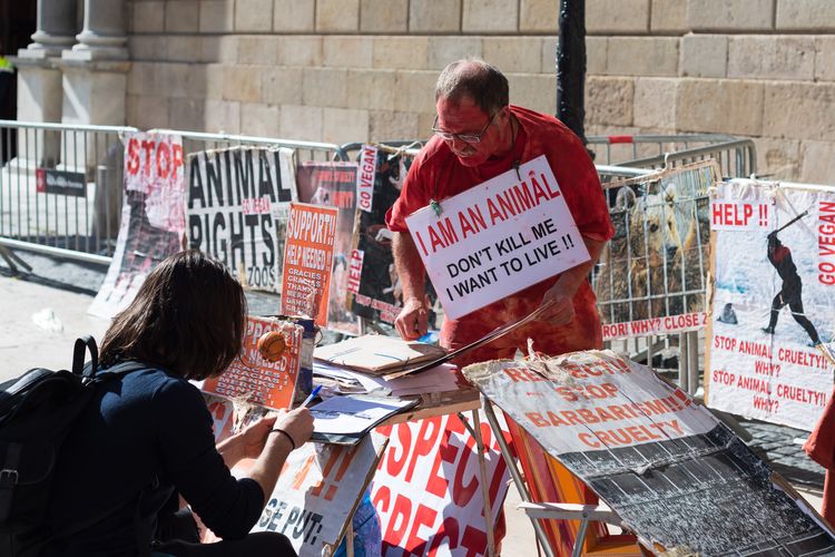 negara-negara-yang-paling-peduli-pada-satwa