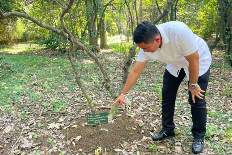 BRIN Bantah Ada Tanaman Penghasil Kokain di Kebun Raya Bogor