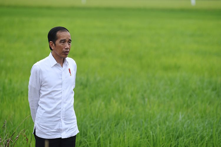 Jokowi Resmi Bubarkan 18 Lembaga, Ini Daftarnya