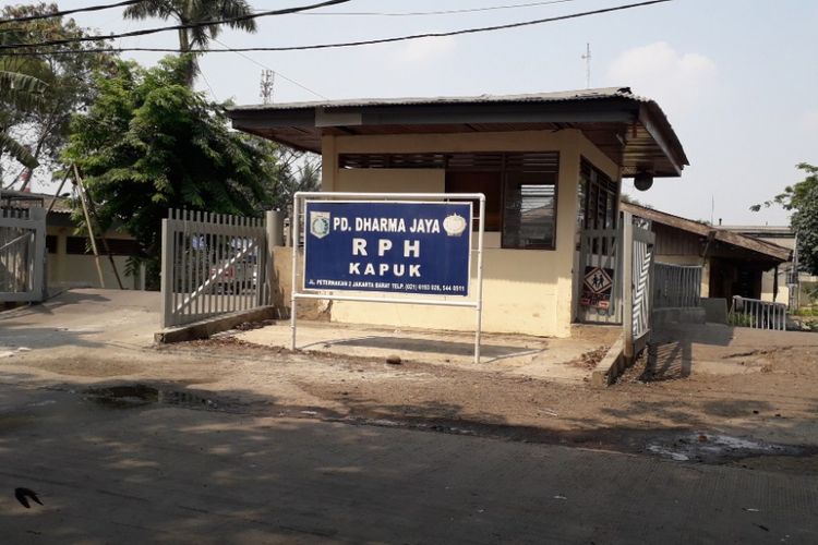 Keberagaman Jakarta, Alasan Dharma Jaya Pertahankan RPH Babi di Kapuk

