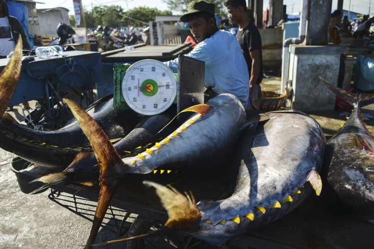 indonesia-kaya-hasil-laut-tetapi-ekspor-ikan-kalah-oleh-vietnam