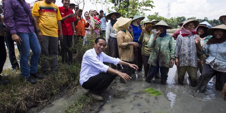 Jokowi Gelar Rapat Khusus Karena Cadev Sudah Anjlok Rp 150 Triliun