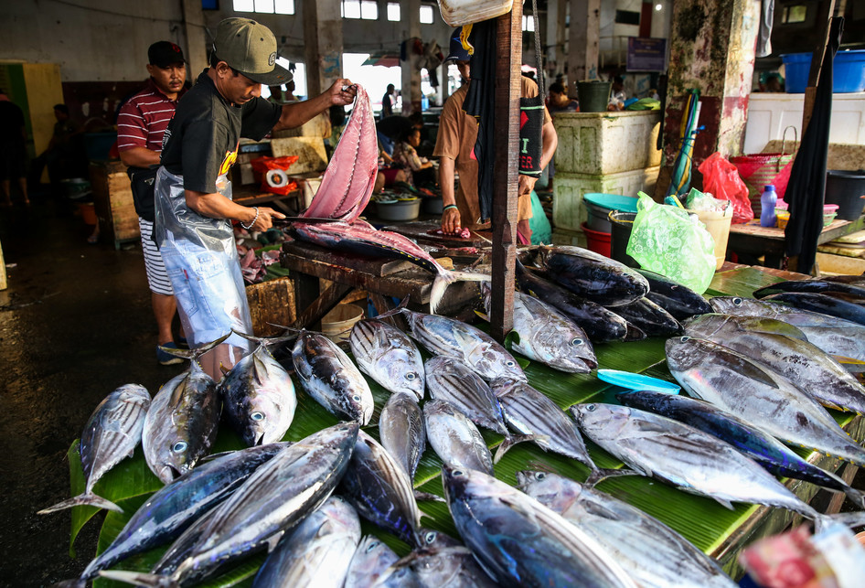 Tidak Mau Makan Ikan?Saya Tenggelamkan.Ini Alasannya