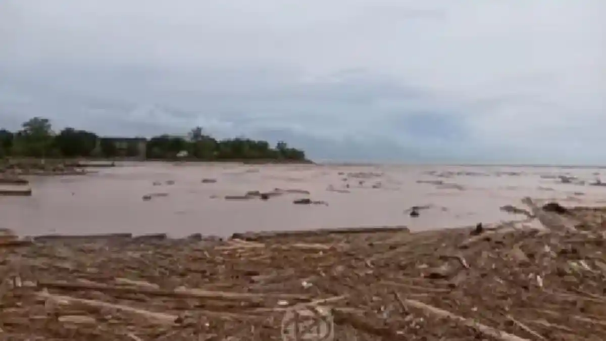  Kemenhut Izinkan Penebangan Hutan, Kader PSI Minta Raja Juli Tak disalahkan